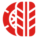 SEG